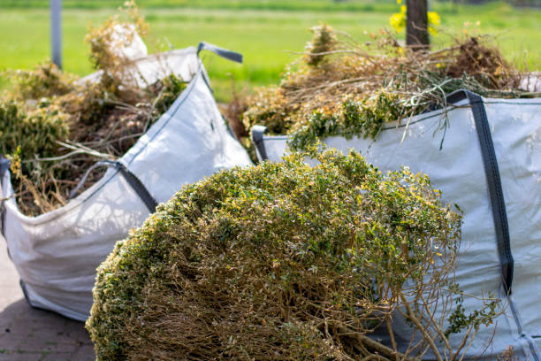 Best Junk Removal and Recycling  in North Plymouth, MA